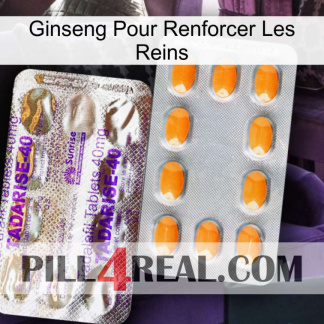 Ginseng For Reinforcing Kidney new12